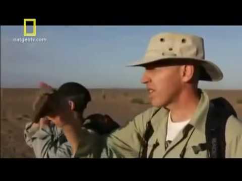 A Grande Muralha da China Megaconstruções