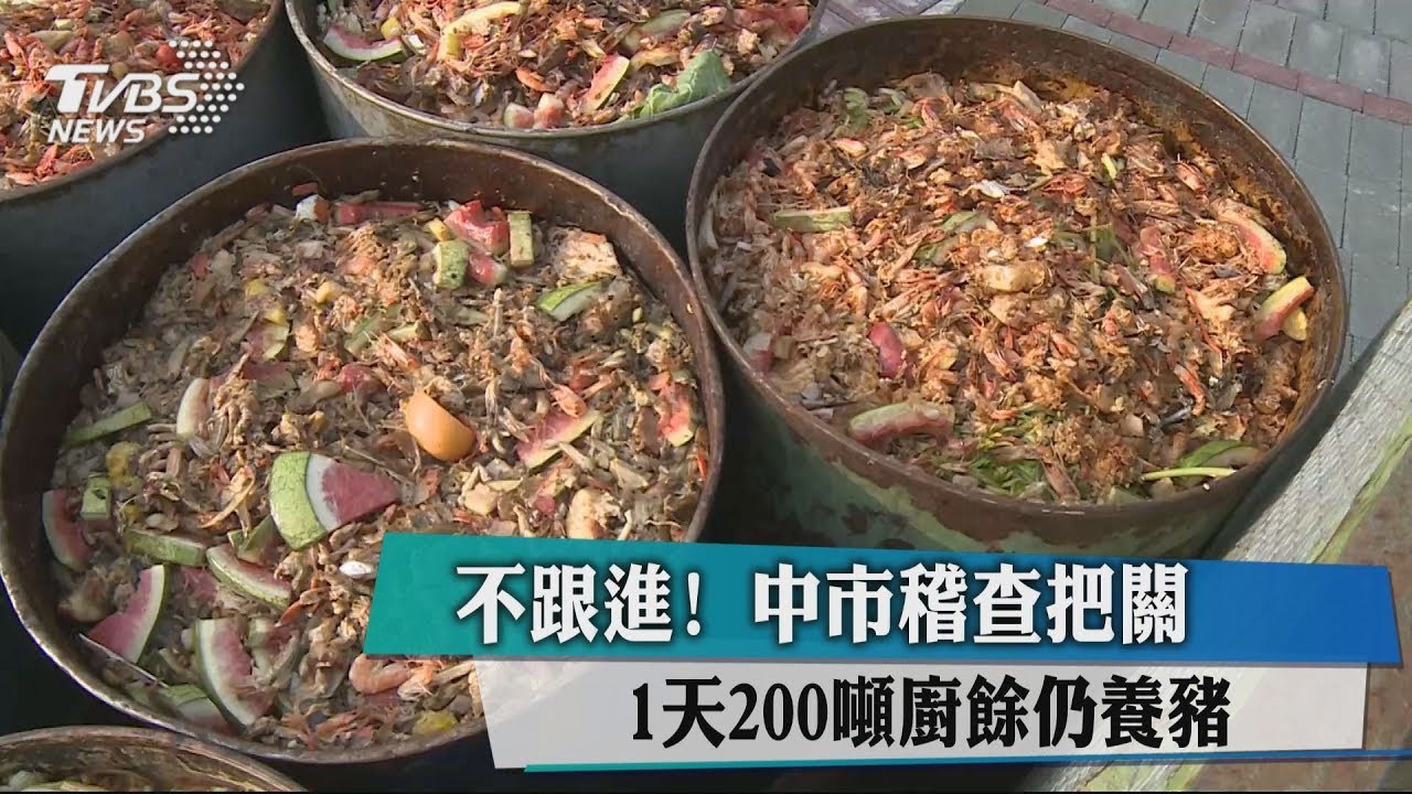 不跟進!中市稽查把關 1天200噸廚餘仍養豬