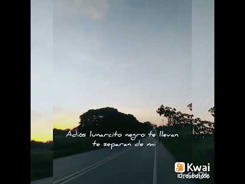 ADIOS LUNARCITO NEGRO ...
