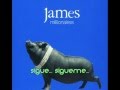 James - I know what im here for - Traducida al español