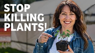 5 Mistakes People Make When Growing Seedlings