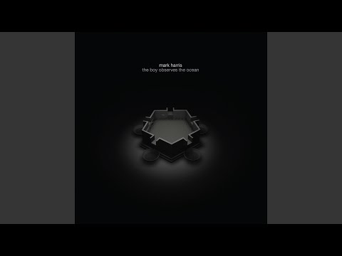 The Boy Observes the Ocean