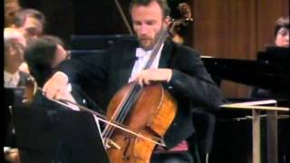 Beethoven Triple Concerto, 1st movement (Part 1 of 2) - Georg Pedersen