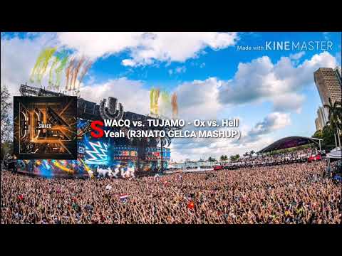 SWACQ vs. TUJAMO - Ox vs. Hell Yeah (R3NATO GELCA MASHUP)