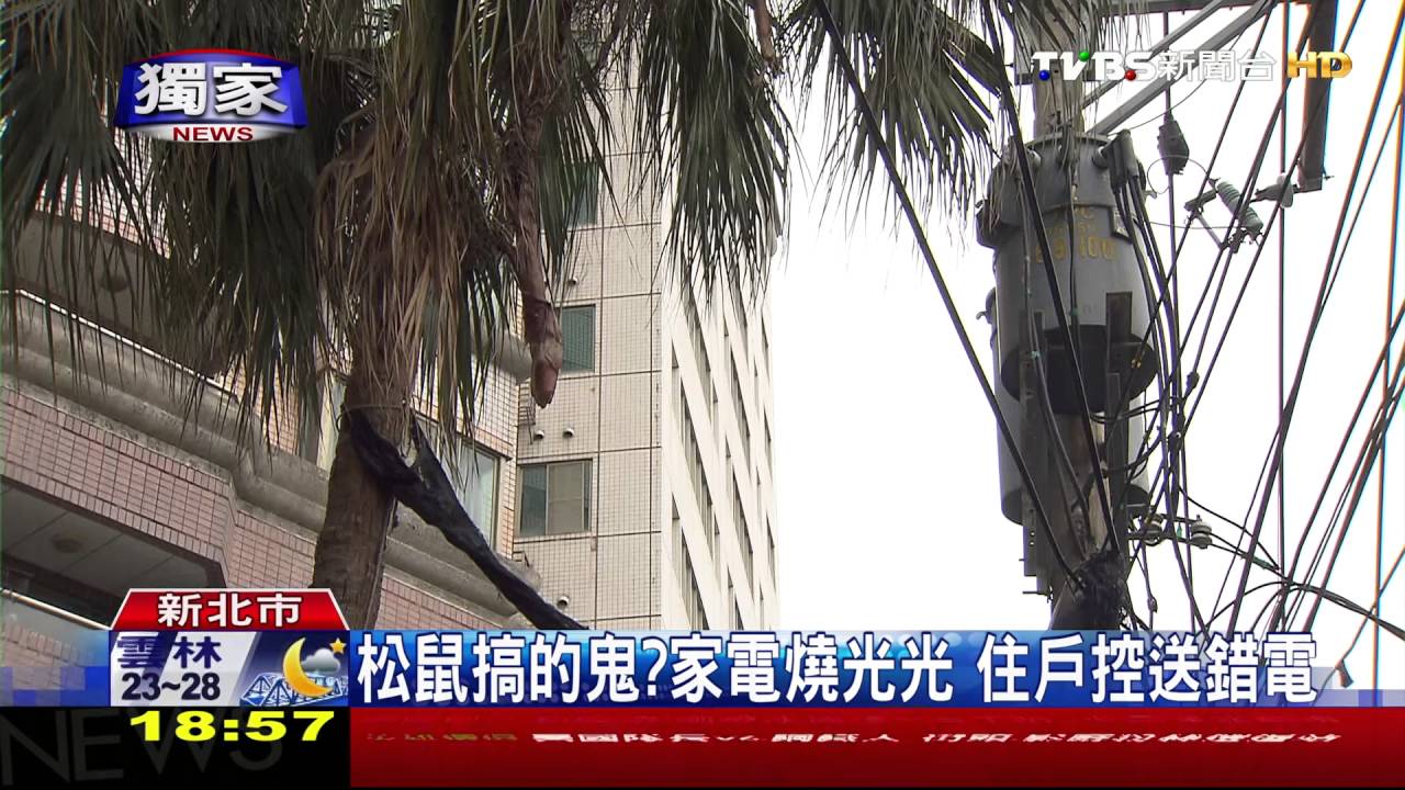 獨家/松鼠搞的鬼?家電燒光光 住戶控送錯電