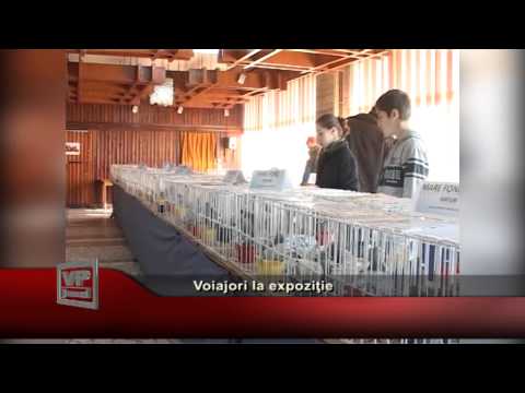 Voiajori la expoziţie