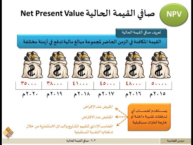 203 - صافي القيمة الحالية