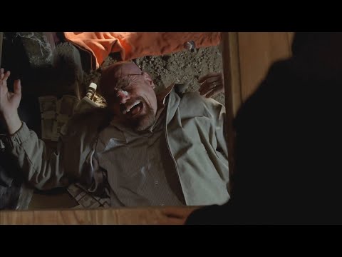 Walter White laughs
