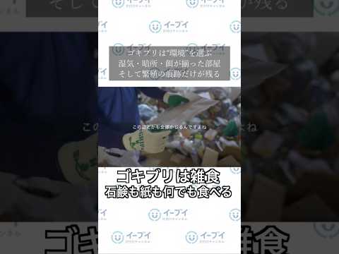 【閲覧注意】石鹸まで食べる！？ゴミ屋敷のGが「増え続ける」恐ろしい理由。　#ゴキブリ対策 #ゴミ屋敷 #清掃 #掃除術 #豆知識 #閲覧注意 #害虫駆除 #片付け