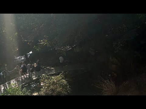 Veraa Singh Neer Waterfall