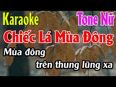 Chiếc Lá Mùa Đông Karaoke Tone Nữ Karaoke Lâm Organ - Beat Mới