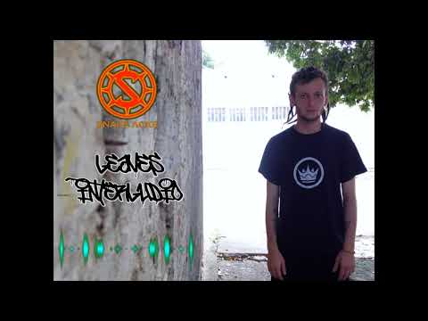 05 Hojas Snake ACKs (Entre vicios y virtudes)