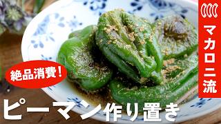 【大量消費】ピーマン余ったらこれ作って！絶品作り置きレシピ9選【簡単おかず・お弁当】