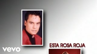 Juan Gabriel - Esta Rosa Roja ((Cover Audio)(Video))