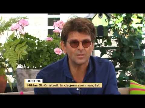 Niklas Strömstedt om sommarturnén och VM-94 - Nyhetsmorgon (TV4)
