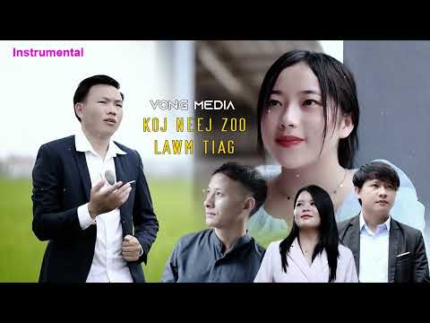 Koj neej zoo lawm tiag by Vong Media Karaoke