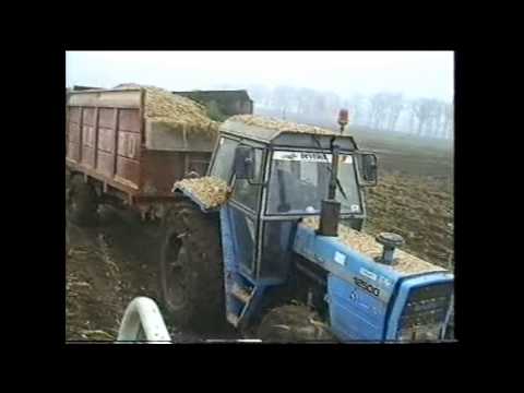 Loonw. Matthys - Ursel