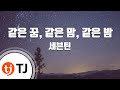 [TJ노래방] 같은꿈, 같은맘, 같은밤 - 세븐틴(SEVENTEEN) / TJ Karaoke