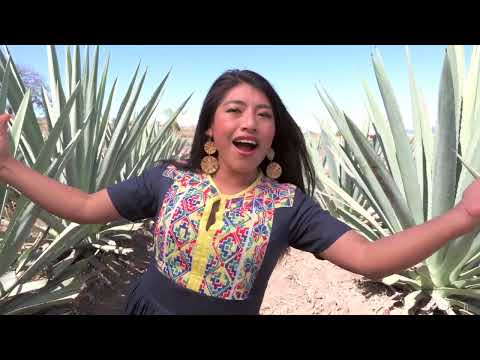 María Reyna, Banda Femenil Regional "Mujeres del Viento Florido" - Ay mezcal mezcal (Video Oficial)