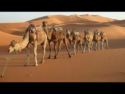 Sharafu.Aranthodu Hit♡☆NANORU PRAWASI☆♡