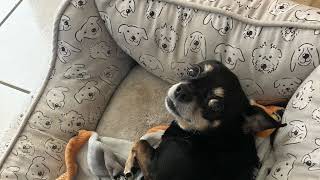 Override 2 Super Mech League: Crystal Basic Combo Tutorial