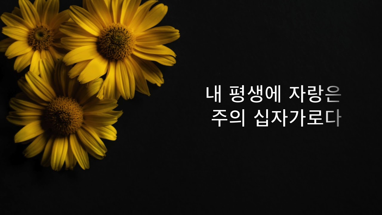 주의 보혈 - CCM