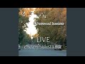 The Mist Covered Mountains / Crested Hens (Live)