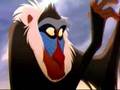 My Lion King Traler