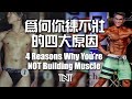 为何你练不壮的四大原因| 4 Reasons Why You Are NOT Building Muscles | Terrence Teo