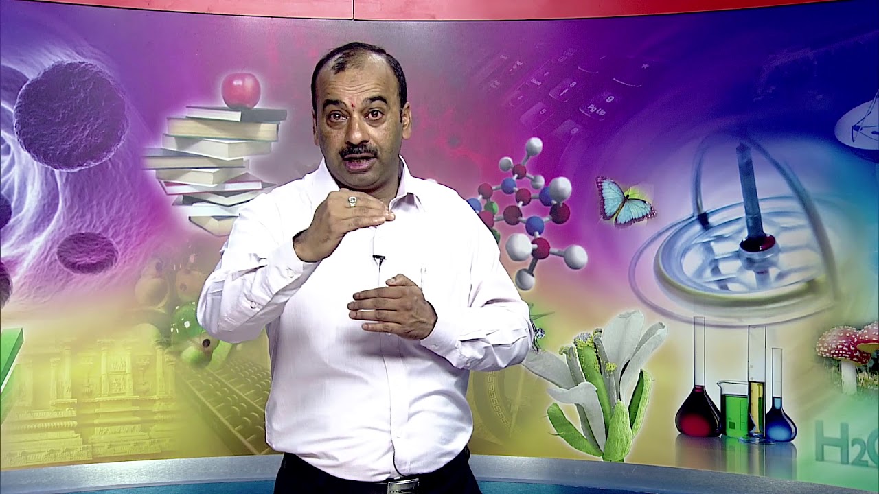 Continuous and Comprehensive Evalution