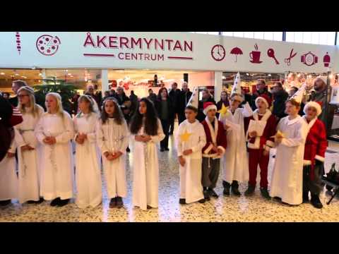 HSK P05 F04 Luciatåg Åkermyntan