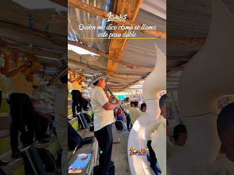 Qué tal suena este paso doble interpretado por la súper banda 13 de diciembre del Guamo/Bolívar.