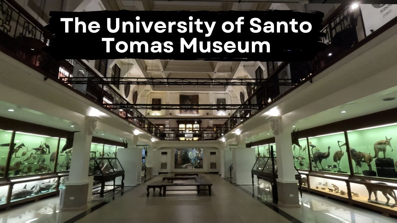 Embark on a virtual tour of UST Museum.