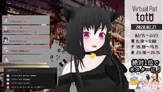 【SHOWROOM】totoฅ•ω•ฅとある猫カフェ＜ミラー配信＞