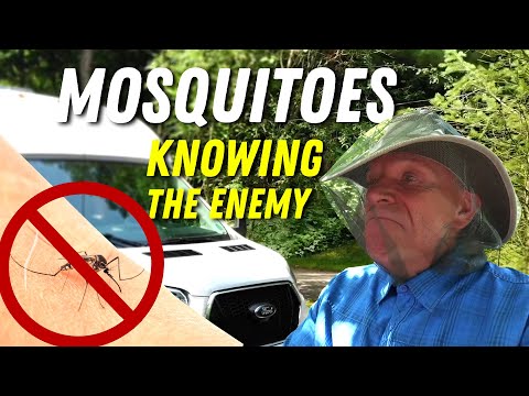 Know the Enemy! Mosquitoes, Ticks, & Wild Animal Safety | RV Podcast 356
