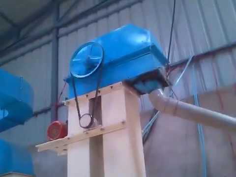 Automatic Matar Seed Grading Machine