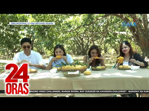 "Mango-eat-all-you can" at iba pang aktibidad, sinubukan ng Kapuso stars sa Guimaras 24 Oras