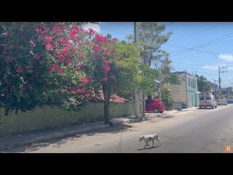 [Culture Snap] Tulum Mexico: Plagued With Drugs, Violence, And Poverty? Or Excellent Vacation Spot?