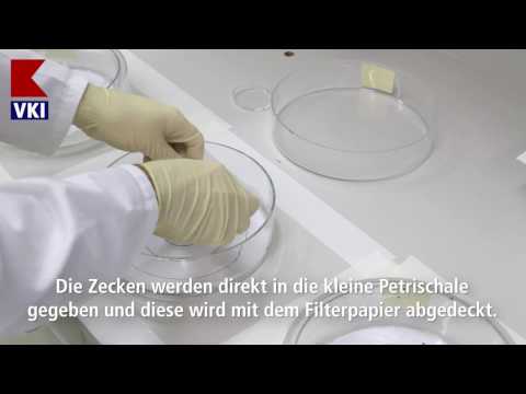 download lagu mp3 mp4 Seresto Halsband Inhaltsstoffe, download lagu Seresto Halsband Inhaltsstoffe gratis, unduh video klip Seresto Halsband Inhaltsstoffe