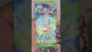 The Ultimate Finale: Day 10 of the Pokémon Challenge!"