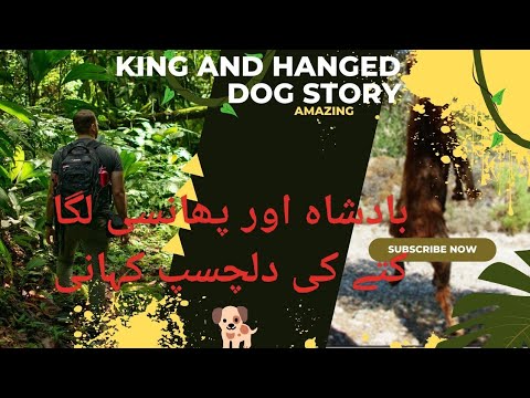King and hanged Dog | Amazing story