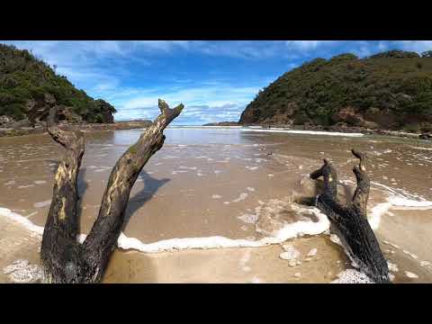 Day 1: The Great Ocean Walk