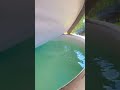 2023 November Nature Love Subscribe Shorts