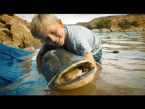 Fiskeri efter maller og karper i Ebro i Spanien