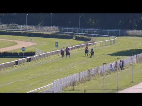 2023 dzień 9 - gonitwa 3 - Nagroda Portu Lotniczego Wrocław