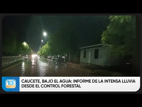 Caucete, bajo el agua: informe de la intensa lluvia desde el Control Forestal