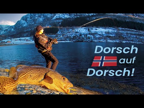 DORSCHE im Frühling 23 vom UFER in NORWEGEN - Tipps & Tricks!