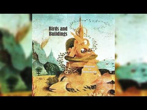 Birds And Buildings - Bantam To Behemoth [2008]