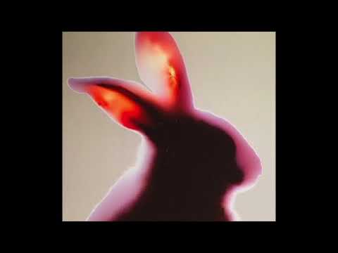 Phil Niblock + Natalia Pschenitschnikova - Live in Paris, 2008