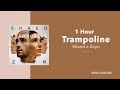 1 Hour Loop Trampoline Shaed X Zayn Lyrics